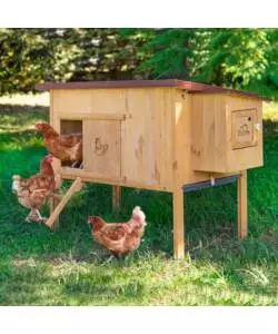 CASETTA POLLAIO PER GALLINE IN LEGNO "HEN HOUSE 30", 162X100X110 CM - FERPLAST