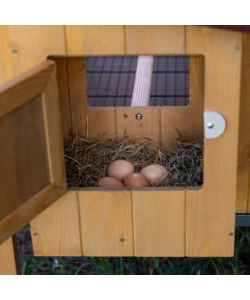 CASETTA POLLAIO PER GALLINE IN LEGNO "HEN HOUSE 30", 162X100X110 CM - FERPLAST