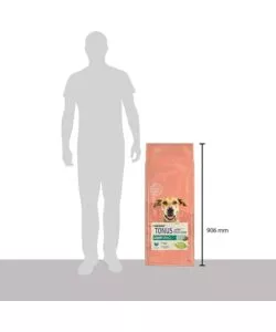 CROCCHETTE PER CANI PURINA "TONUS DOG CHOW" ADULTO DI TUTTE LE TAGLIE CON TACCHINO 14 KG