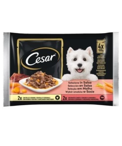 CESAR - UMIDO PER CANI IN SALSA, 4 PZ