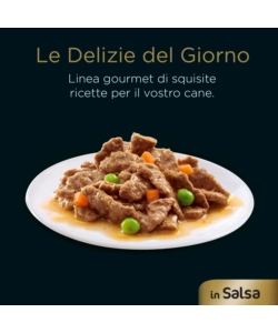CESAR - UMIDO PER CANI IN SALSA, 4 PZ