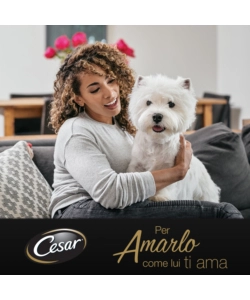 CESAR - UMIDO PER CANI IN SALSA, 4 PZ