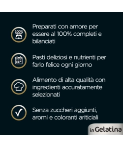 CESAR - UMIDO PER CANI IN GELATINA, 4 PZ
