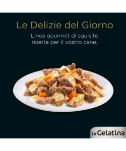 CESAR - UMIDO PER CANI IN GELATINA, 4 PZ