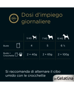 CESAR - UMIDO PER CANI IN GELATINA, 4 PZ