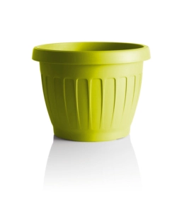 VASO TERRA D. 30 SENAPE