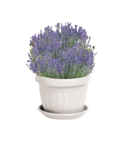 VASO TERRA D. 35 BIANCO