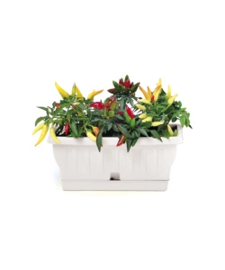 FIORIERA NATURA CM 30 BIANCO