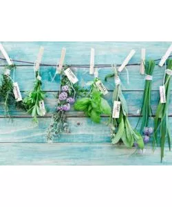 STICKER PER PIANO COTTURA "KP HERBES" ERBE AROMATICHE - 47X65 CM