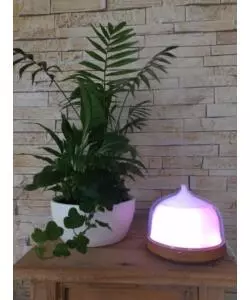 DIFFUSORE PER AMBIENTI DA 200 ML