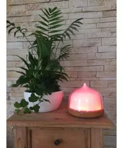 DIFFUSORE PER AMBIENTI DA 200 ML