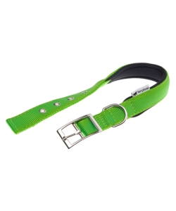 COLLARE IN NYLON MODELLO C25/45 IMBOTTITO PER CANE E COLORE VERDE.