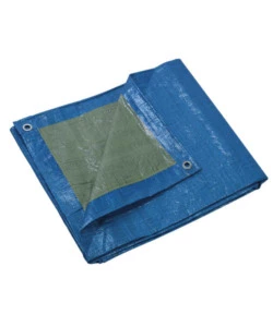 TELONE DI PROTEZIONE 65 GR M2 5X8 M CON OCCHIELLI - RIBIMEX PRB06505X08.