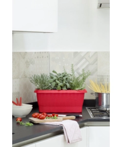 FIORIERA PAGLIA CM 50 ROSSO CORALLO