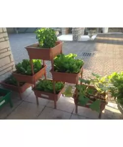 KIT ORTO E ORTO
