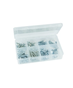 ASSORTIMENTO VITI METRICHE E DADI 125 PZ.