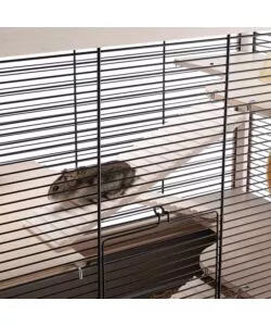 GABBIA PER RODITORI "HAMSTERVILLE" NERA, 60X34X49 CM - FERPLAST