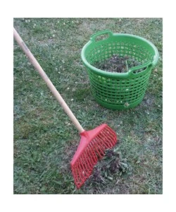 RASTRELLO PER FOGLIE IN PLASTICA CON MANICO IN LEGNO
