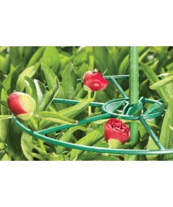 SOSTEGNO PER PIANTE ERBACEE, 40 CM