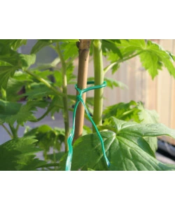 FILO PER GIARDINAGGIO IN FERRO PLASTIFICATO, VERDE, 50 METRI