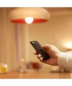 WIZMOTE PER PHILIPS SMART LED CONNECT