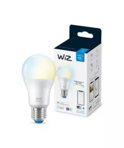 LAMPADINA SMART PHILIPS SMART LED A60, 806 LM