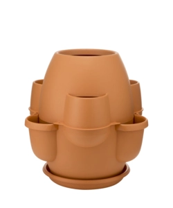 VASO OASI COTTO CHIARO