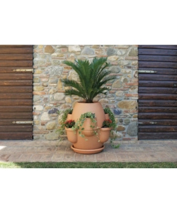 VASO OASI COTTO CHIARO