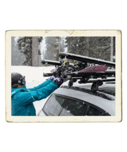 PORTASCI PER BARRE DA TETTO YAKIMA "FATCAT 6 EVO BLACK" - Y8003076