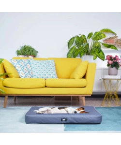 CUSCINO "POLO 80" GRIGIO, 80X50X8 CM - FERPLAST