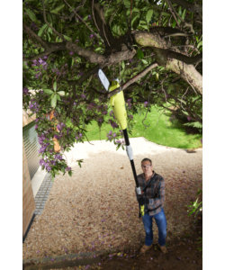 KIT POTATORE A CATENA E TAGLIASIEPI TELESCOPICO ELETTRICO RYOBI "RP750450" BARRA 20 CM 750 W