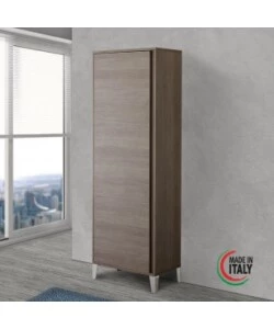 ARMADIO PORTASCOPE ROVERE SCURO, 60X35X183CM