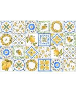 PARASCHIZZI IN ALLUMINIO "LEMON", 48X72 CM