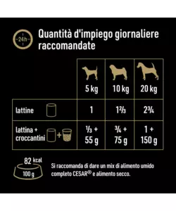 CESAR - UMIDO PER CANI AGNELLO E CAROTE 400 GR