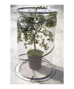 SERRA PER PIANTA VERDEMAX "POP UP CITRUS" 90X150 CM
