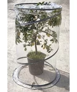 SERRA POP UP CITRUS, 90X150 CM - VERDEMAX