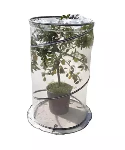 SERRA PER PIANTA VERDEMAX "POP UP CITRUS" 90X150 CM