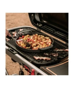 BARBECUE A GAS PORTATILE WEBER "TRAVELER" CON GRIGLIA 63,5X34,3 CM