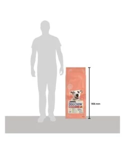 CROCCHETTE PER CANI PURINA "DOG CHOW" ADULTO DI TUTTE LE TAGLIE CON SALMONE 14 KG