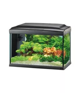 ACQUARIO CAYMAN 40 CLASSIC NERO - 62,5 x 34,5 x h 45,5 cm - 75 L - FERPLAST