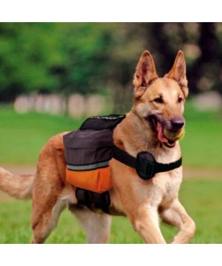 ZAINO PER CANI DI TAGLIA MEDIA E GRANDE "DOG SCOUT" - FERPLAST
