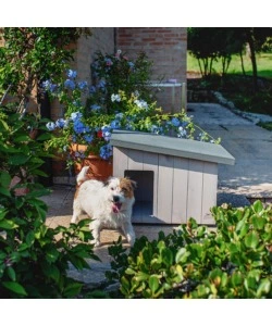 CUCCIA PER CANI DA ESTERNO FERPLAST "ARGO 60" IN PINO NORDICO 69,5X54,5X52 CM