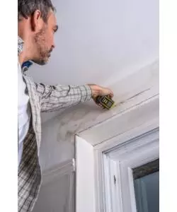 MISURATORE DI UMIDITA' RBPINMM1 - RYOBI