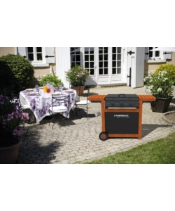 BARBECUE A GAS CAMPINGAZ "ADELAIDE 3 WOODY DUALGAS" 3 BRUCIATORI