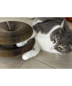 TIRAGRAFFI PER GATTI "GATTO MATTO"  CON PALLINA SONORA