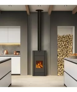 Stufa a legna ventilata Canadian Stove "Regina" nero 10,9 kW