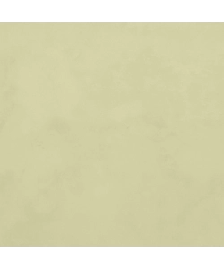 VERNICE PITTURA DECORATIVA LAVABILE, COLORE ANICE - 2 LT