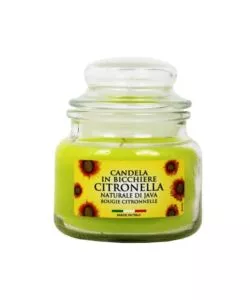 GIARA PICCOLA IN VETRO "CAPRI" CON CANDELA ALLA CITRONELLA