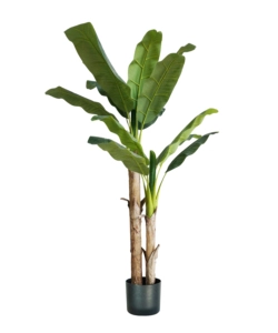 PIANTA DI BANANO IN POLIETILENE, 170 CM