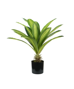 PIANTA DI DRACAENA IN POLIETILENE CON 19 FOGLIE, 60 CM
